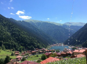 Отель Kuzey Palace  Uzungöl